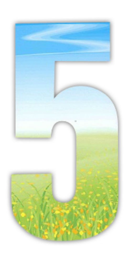 Wheelie Bin Numbers Meadow 5