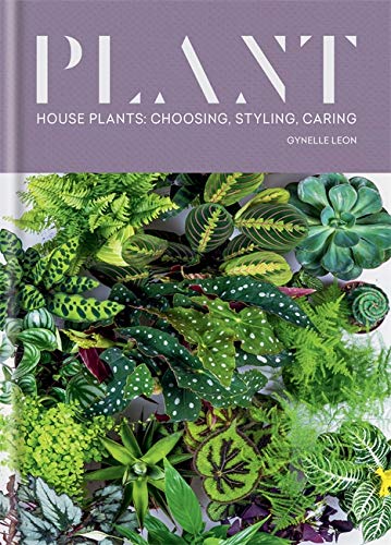 Mitchell Beazley Plant: House plants: choosing, styling, caring