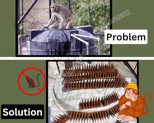 Image of CHANCEUX Anti Bird Plastic Spikes Brown (50 pcs Set) for AC Balconies Window Home Protection from Pigeon Dog Monkey Crow Kabootar -Area Covers 50 FT - kabutar Control Scare Repellent Balcony Railing