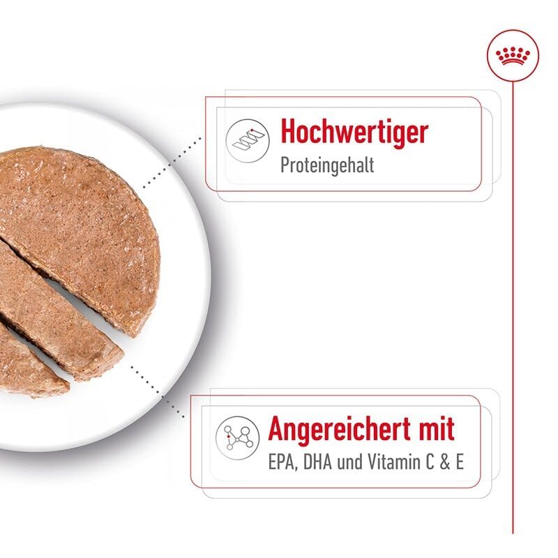 Royal Canin Medium Ageing 7+ Mousse | 12 x 410 g | Alleinfuttermittel für ältere, mittelgroße Hunde ab dem 7. Lebensjahr