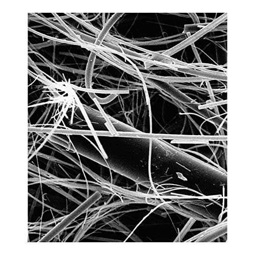 Image of EMD Millipore AP2025725 Glass Fiber Filter with Binder, AP20 Filter Code, 257 mm Diameter (Pack of 25)