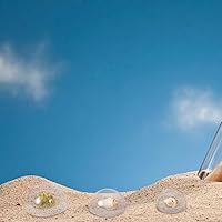 Vista 7 de 4 unidades de cúpula de cristal pequeña cúpula de cristal de la pantalla de cúpula de cúpula de forma media redonda sin base soporte de exhibición