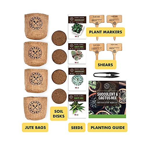 Cactus Succulent Seed Starter Kit - Indoor Garden Grow Kits, Seeds for Planting Mini Cactus Succulent Plants, Plant Markers, Soil, Pots, Wood Box - Fathers Day Gardening Gifts - Image 4