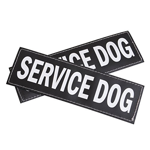 EzyDog Side Badge - Clearly Identifies Your Dog When Wearing The Convert Dog Harness - Set of Two Badges (Service Dog, Large)
