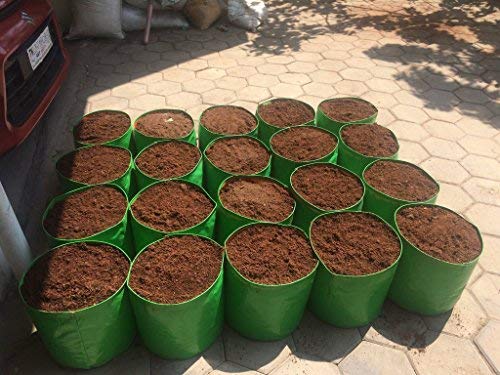 Image of Bio Blooms Round HDPE Plant Grow Bag for Terrace & Kitchen Gardening| Pack of 5| 12x12|200 GSM Heavy Duty Outdoor Grow Bag | Durable Planter for Vegetables, Flowers & Plants (Green & Orange)