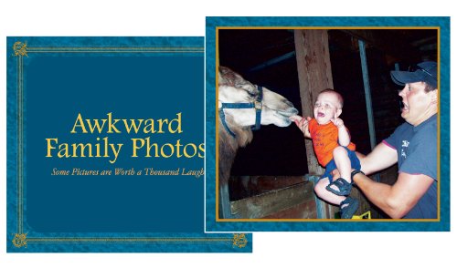 All Things Equal, Inc. Awkward Family Photos juego de mesa físico Nuevo para adultos con cartas y dado miniatura 4