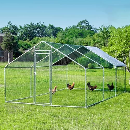 HITTITE Gallinero grande de metal con paso, 19.19 x 9.84 x 6.56 pies, corralito de corral para pollo al aire libre con cubierta impermeable y anti-UV