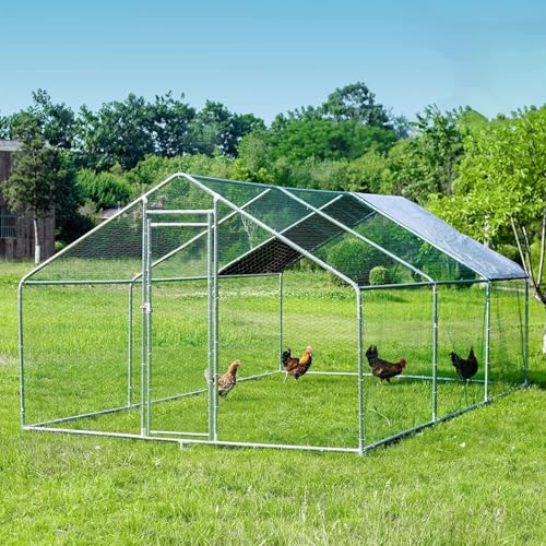 HITTITE Large Metal Chicken Coop