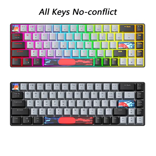 Image of Protable 60% Percent Gaming Keyboard Mechanical, Mini Compact RGB Backlit 68 Keys Wired Office Keyboard with Red Switch for Mac /Win (Dolch /red Switch 68)
