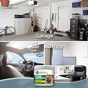 SMELLS BEGONE Pet Odor Absorber Gel – Air Freshener – Made with Essential Oils – Rainforest Scent – 15 Ounce – 2 Pack