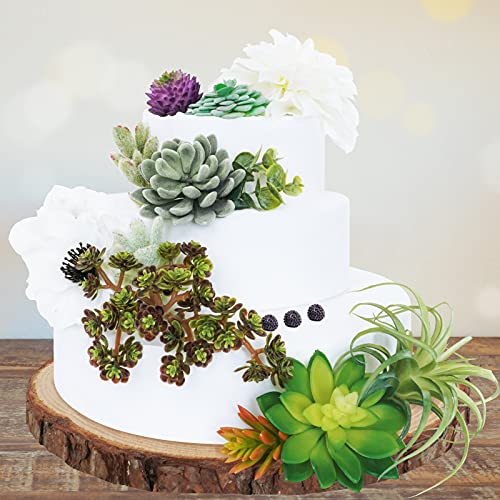 Winlyn 16 Pcs Unpotted Textured Artificial Succulents Plants Bulk Assorted Faux Realistic Hanging Succulents Aloe Hops Cactus Picks In Different Green For Pots Arrangement Wedding Centerpieces Decor #TOP7