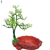 Tamaño del plato: 9 cm x 6,5 cm x 14 cm (aproximadamente).