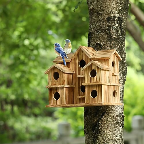 image for YYYUAN Bird Houses for Outside 10 Hole Bird House Room for 10 Bird Fam