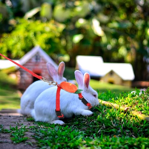 Image of Small Rabbit Harness and Leash Set, Adjustable Double Buckle Bunny Leash, Escape Proof Leashs for Pet Running Walk Jogging Bunny Cat Puppy Kitten Ferret and Other Small Pet