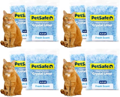 Image of PetSafe ScoopFree 4.3 lb Bags Premium Crystal Cat Litter - Outperforms Clay Litter - Refill Packs - Reusable Tray Compatible - Fresh Scent (Pack of 8)