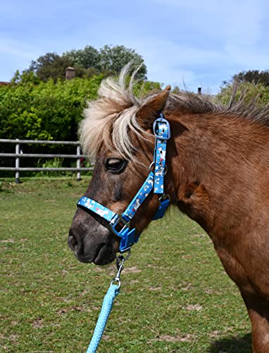Rhinegold Unicorn Headcollar and Rope Set - Shetland - Turq, Turquoise, 30 cm