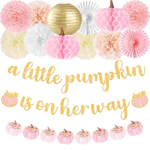 Kriyokiaa Little Pumpkin Baby Shower Decorations for Girl 15 Pcs Pink Fall Baby Shower Decorations with A Little Pumpkin is On Her Way Banner Tissue Pom-Poms Paper Lantern for Its a Girl Party