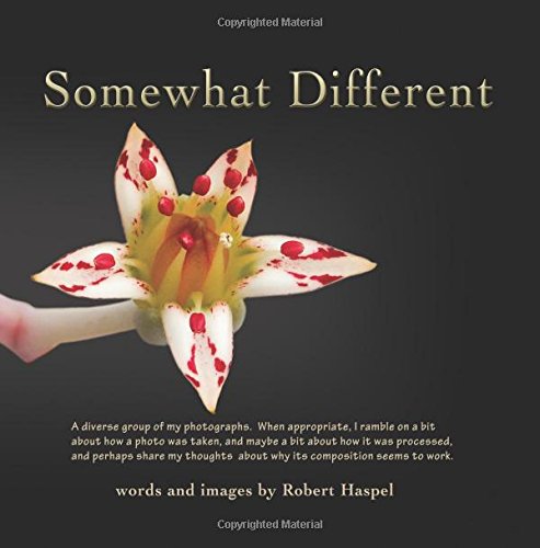 Somewhat Different: Diverse Photography of Robert Haspel