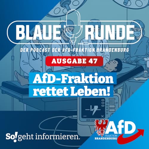 AfD-Fraktion rettet Leben! | Die Blaue Runde, Ausgabe 47/25 vom 06. September 2025 cover art