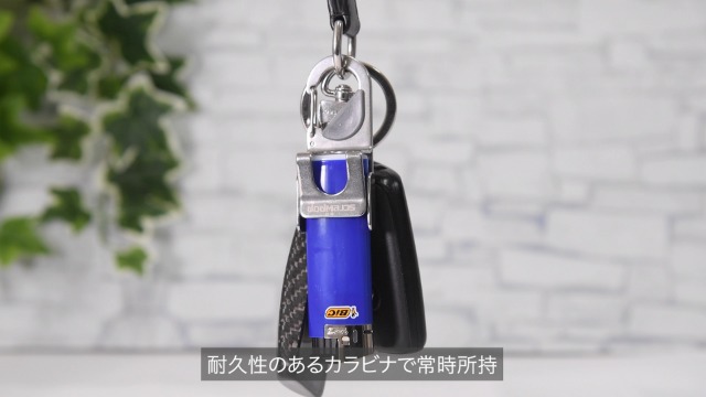 Amazon.co.jp: Screwpop BIC ライターケース ライターホルダー BIC