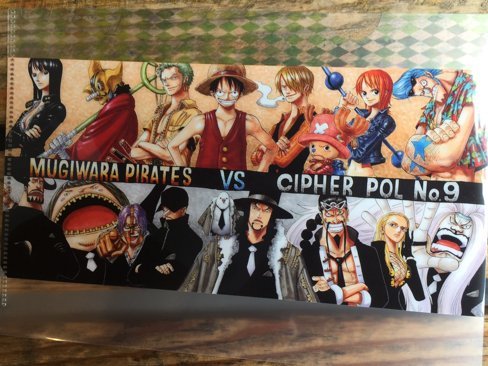 Amazon.co.jp: 麦わらストア 大宴会クリアファイル 20周年記念