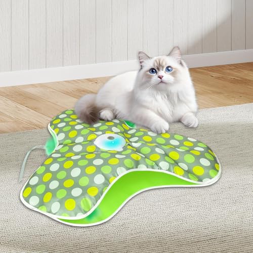 Jouets interactifs pour chats : teasers cachés mobiles contre l'ennui
