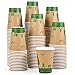 ECOLipak 240 Count 12 oz Compostable Paper Cups, Biodegradable Disposable Paper Coffee Cups with PLA Lined, Eco-friendly Hot Paper Cups for Party, Picnic,Travel,and Events 1