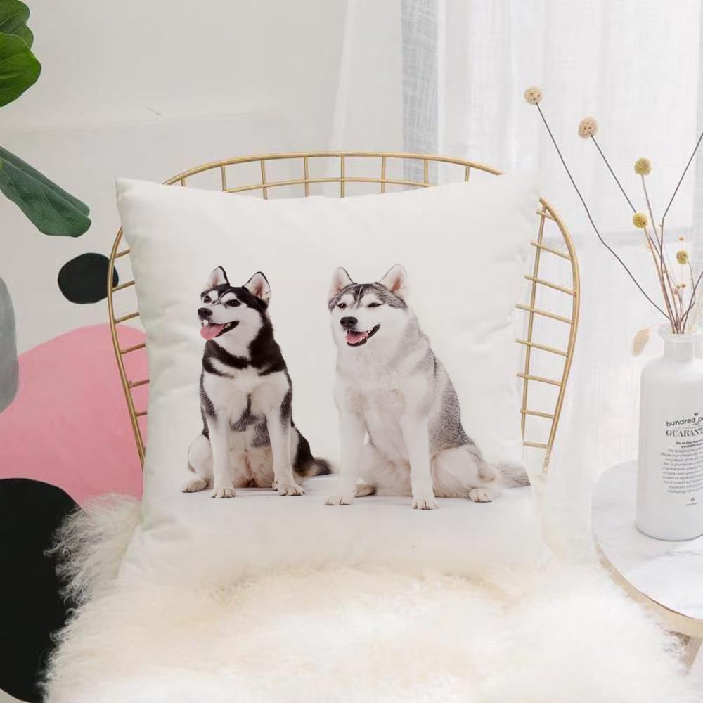 HYOSXW Cushion Cover,Throw Pillow Case Home Decorative for Living Room Bedroom Sofa Chair 16X16 Inch,Alaskan Malamute,Furry Arctic Doggies Husky Whelp Pet Happy Siberian Mammal De,Pillowcase 40X40cm