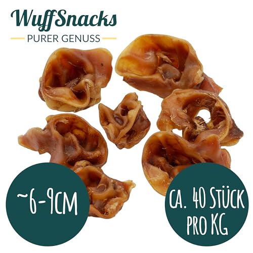 Schweineohrmuscheln für Hunde getrocknet | 1 kg | 100% Schwein | natürlich und hochwertig | Kauartikel zur Zahnpflege | Leckerli von Wuffsnacks