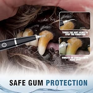 Dog Plaque Remover for Teeth,5 Modes Pet Ultrasonic Tooth Cleaner, Dog Tooth Tartar Remover, Teeth Cleaning Kit for Dental Care, Teeth Cleaner with LED Light, Finger Toothbrush for Dogs and Cats Dog Plaque Remover for Teeth,5 Modes Pet Ultrasonic Tooth Cleaner, Dog Tooth Tartar Remover, Teeth Cleaning Kit for Dental Care, Teeth Cleaner with LED Light, Finger Toothbrush for Dogs and Cats