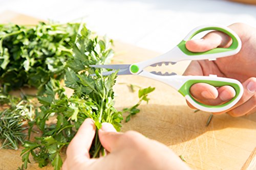 Image of Zyliss Heavy Duty Home & Kitchen Herb Shears Scissors with Innovative Stem Stripper, Versatile Kitchen Shears for Trimming Weeds, Flower Buds & More - White /Green - 8.5 x 4.2 x 0.4 inches