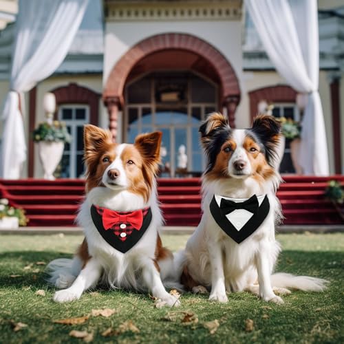 Disfraz Tuxedo Navidad para Perro Small Negro y Rojo a Cuadros miniatura 4