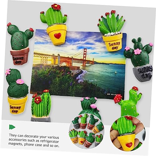 Pot de rempotage miniature cactus Cabilock décoration artisanat - 4