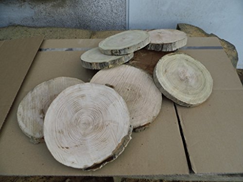 10 Baumscheiben, Holzscheiben,Baumscheibe, ca. 18-20 cm, Astscheiben Cover