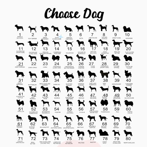 14-SS1 Dobermann Pinscher Gedenk-Sonnenfänger, individueller Name, Haustier-Ornament, Fenster, Auto, zum Aufhängen, Beileidsgeschenk für den Verlust des Haustiers, Gedenkgeschenk für Hundeliebhaber
