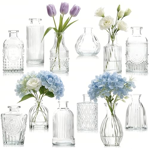 Otauoaea Lot de 12 Vases en Verre, Petit Vase en Verre Vintage Mini Vase Deko Set Différentes Tailles Vase de Fleurs pour Décorations de Mariage Transparent, Centre de...