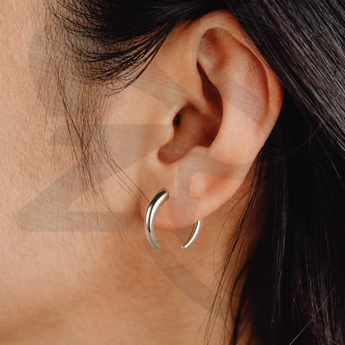 ZS 2Pcs Pincher Tapers Septum Rings, 2G 4G 6G 8G 10G 14G 16G Buffalo Horseshoe Stretcher Expander Piercing for Stretching Pierced Nose Ear Gauge3