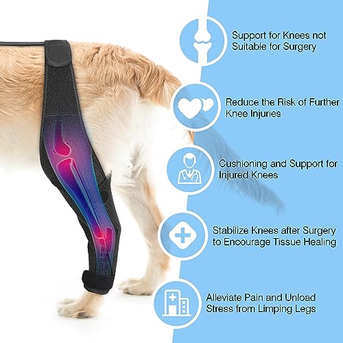 Image of Dog ACL Knee Brace for Pet Recovery, Adjustable Straps, Universal Fit, Supportive and Comfortable, for Small, Medium, Large Dogs (Large, Black Left)