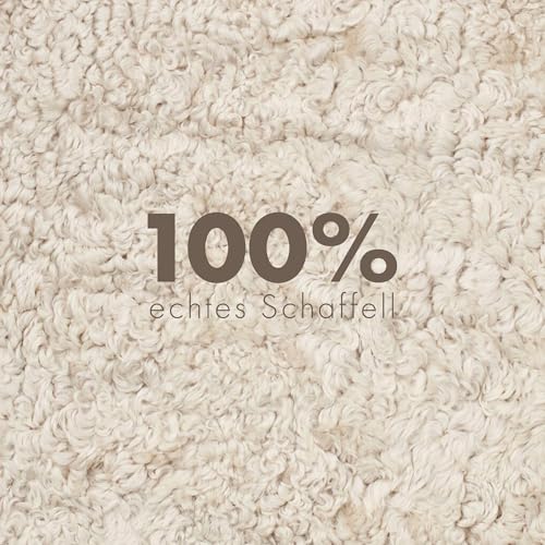 NORDIC SHEEP Lammfell Kurzhaar 90x60 cm | Lammfell Echt für das Sofa, den Stuhl oder rund um den Esstisch | Jedes Teppich ist EIN Unikat und von der Natur geschaffen | Farbe: Beige