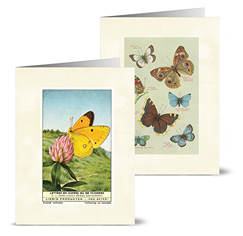 Note Card Cafe All Occasions Greeting Card with Envelopes | 36 Pack | Blank Inside, Glossy Finish | 12 Various Vintage Butterflies Designs | Assorted Set for Greeting Cards, Corporate, Friends