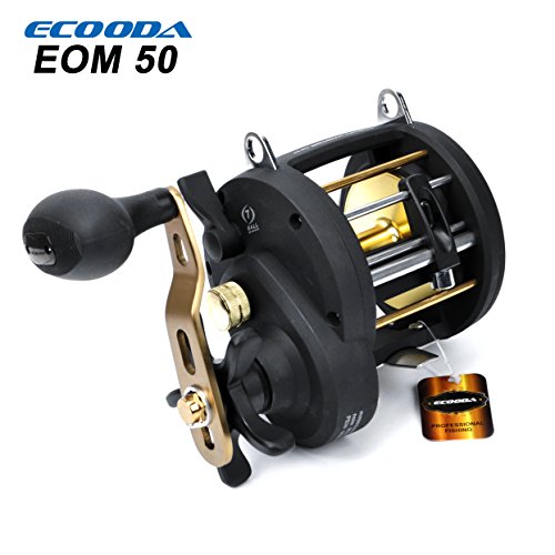 ecooda reels