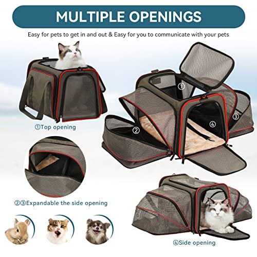 Petsfit Airline Approved Expandable Large Cat Carrier Small Dog Carrier, 17" X 11" X 11" Collapsible Portable Soft-Sided Airplane Pet Carrier Bag With Two Extension, Fit For Outdoor Use #TOP3