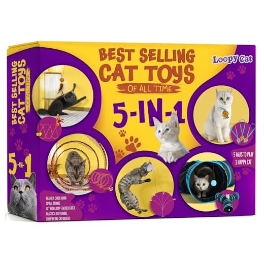 LOOPY CAT Olympic 5-in-1 Interactive Kit