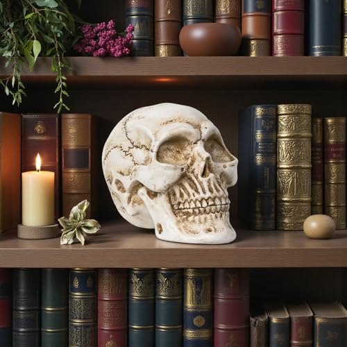 Estatua de Calavera de Resina para Decoración Hogar miniatura 4