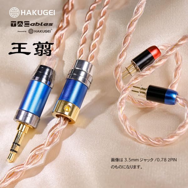 Amazon | 【国内正規品】 TACable powered by HAKUGEI イヤホン