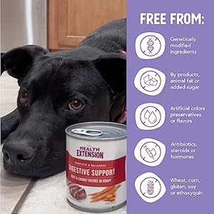 Well being Extension Gravy Canine Meals Selection Pack, Hen Pumpkin, Beef Carrrot, Turkey Candy Potato, Crude Protein, All Life Phases, Enhance Intestine Well being, Digestive Help (9 Ounce Cans, 2 Every)