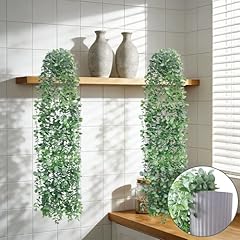 2-pack Eucalyptus Vine