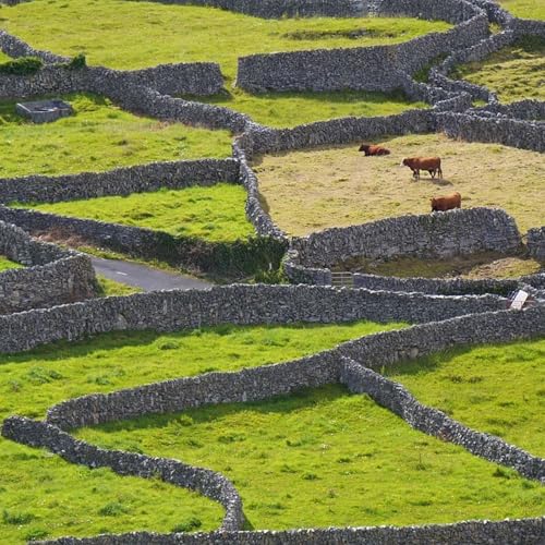 Quiet truth: F&iacute;rinne