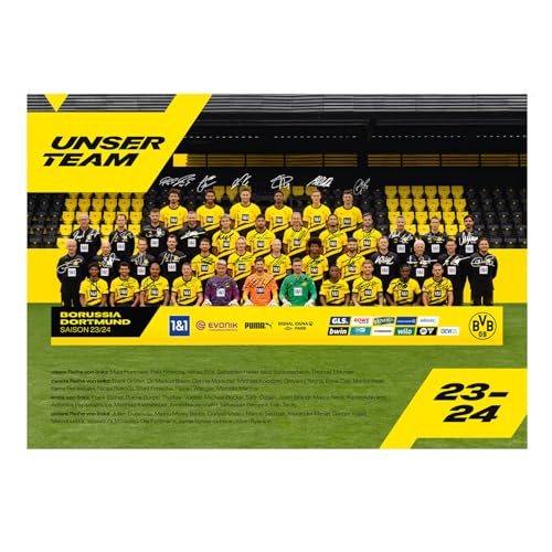 Mannschaftsposter / Teamposter Borussia Dortmund BVB 09 + gratis Sticker...
