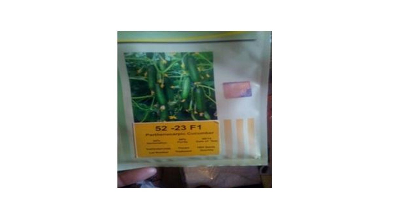 Apex Green Yuksel 52-23 F1 Cucumber Seed - 10 GM : Amazon.in